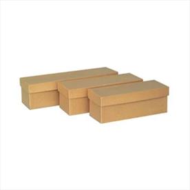 Ortho Model Boxes 11x3x3"