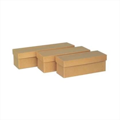 Ortho Model Boxes 11x3x3"