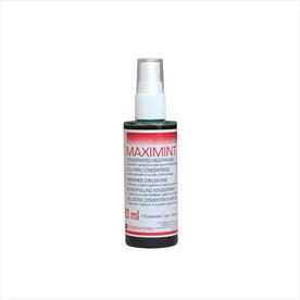 Mouthwash Concentrate 90ml