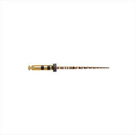 ProTaper Gold Sterile - 25mm - Black x 6