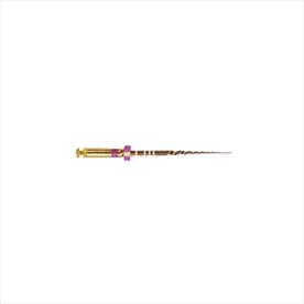 Protaper Gold 25mm - S1 x 6