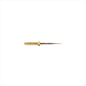 ProTaper Gold - 19mm - SX x 6